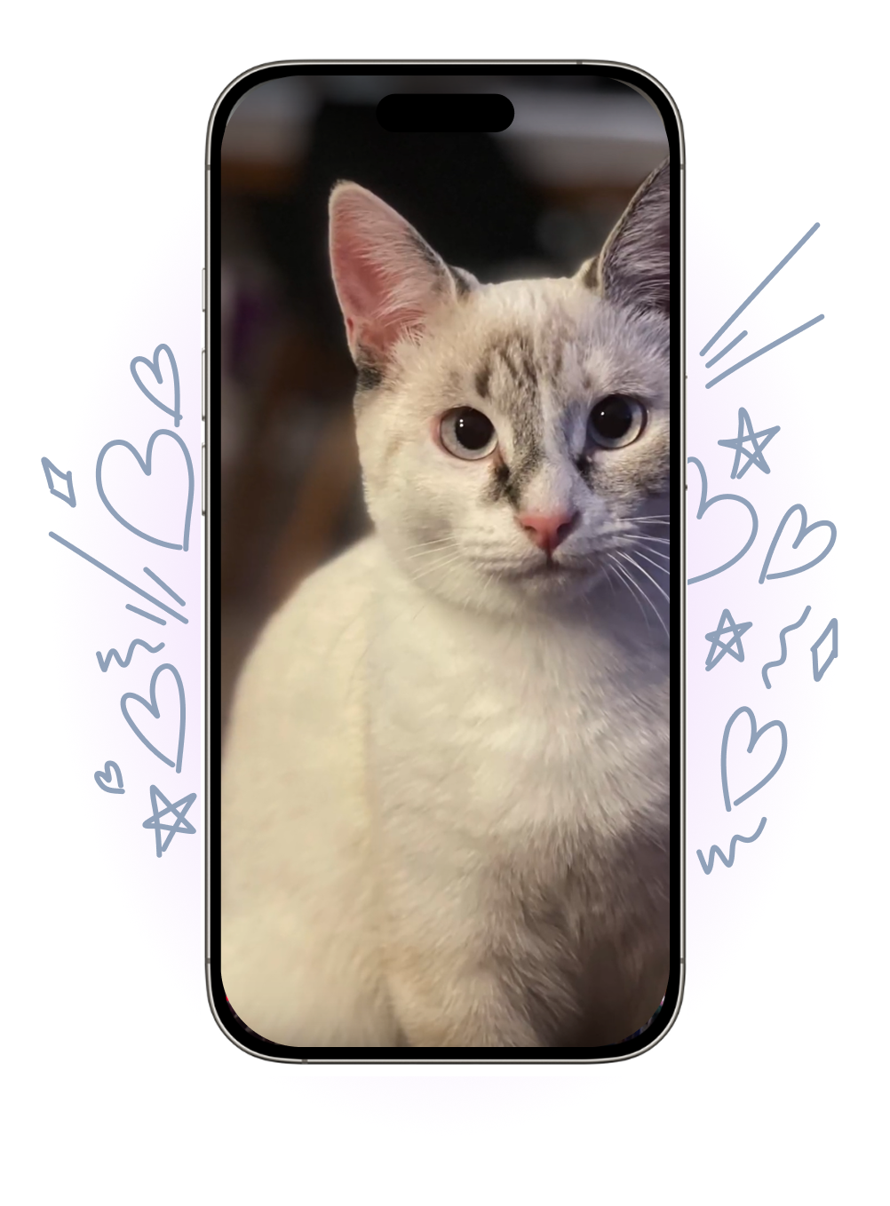 Cat Phone