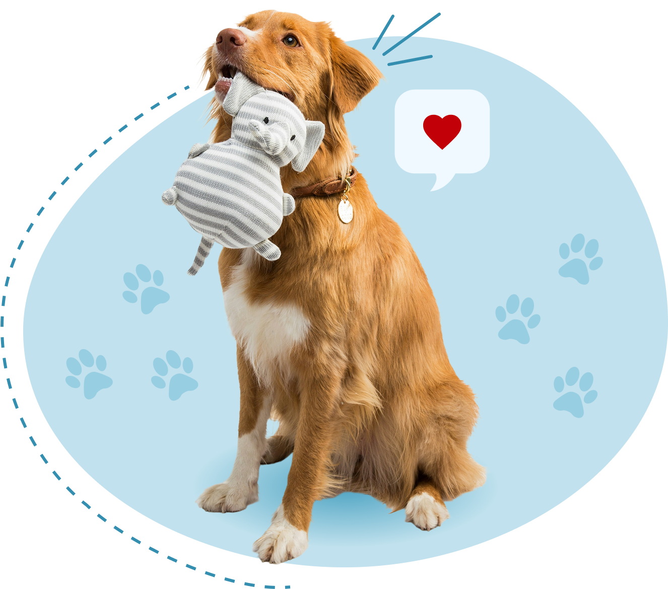 Golden Retrieveer