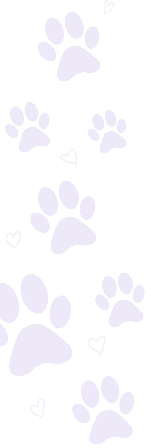 Purple Paws
