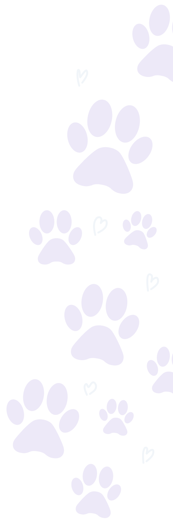 Purple Paws