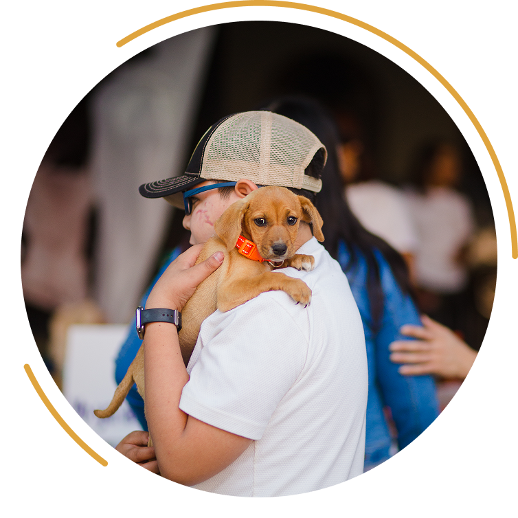 Person with dog